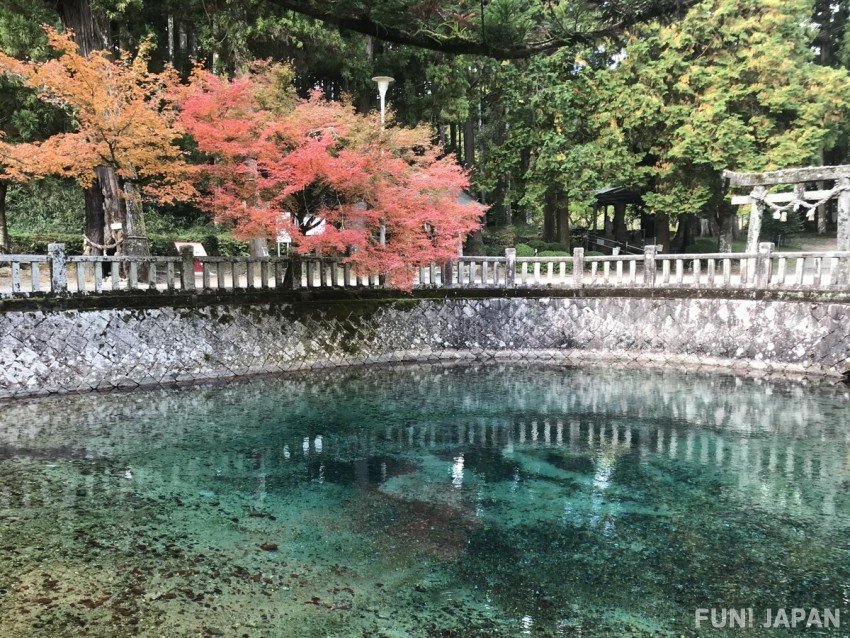 (Mine City) Beppu Benten Pond: One of the Japan's 100 Selected Exquisite Waters