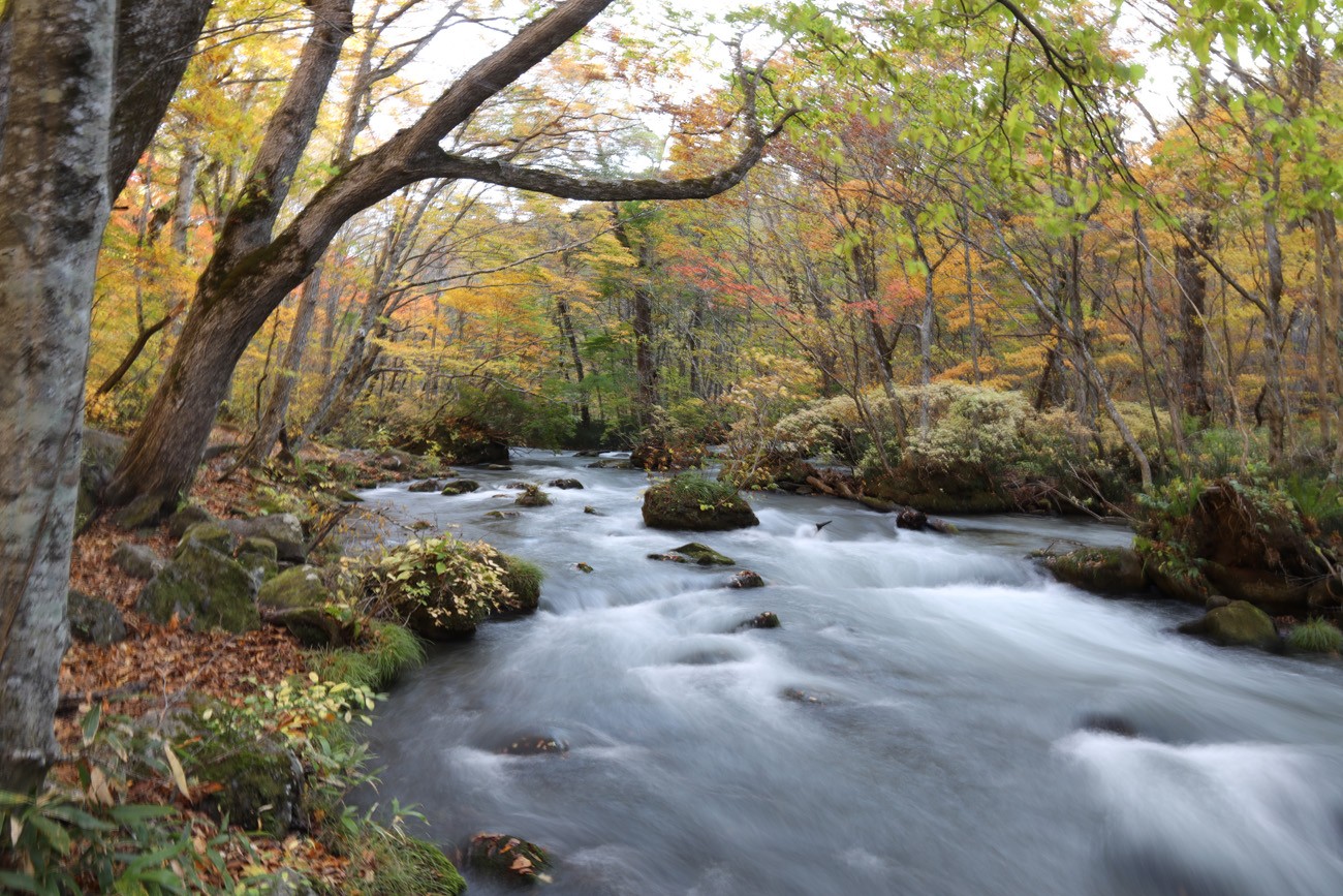 Aomori Oirase Goryu onsen