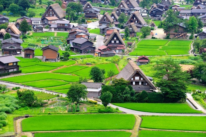 Obyek Wisata Top Yang Tidak Boleh Dilewatkan di Shirakawa-go