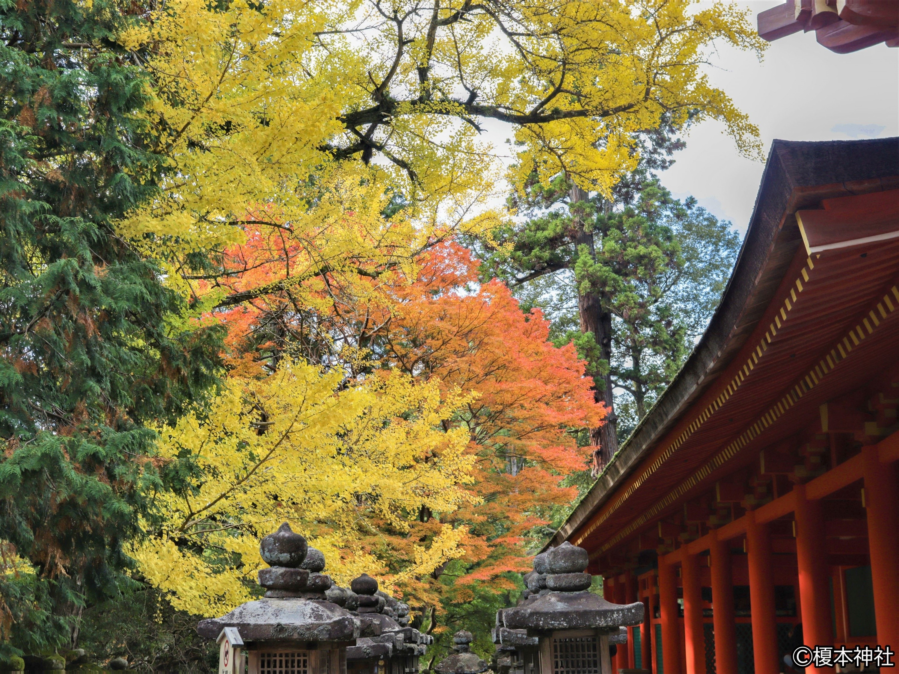 春日大社