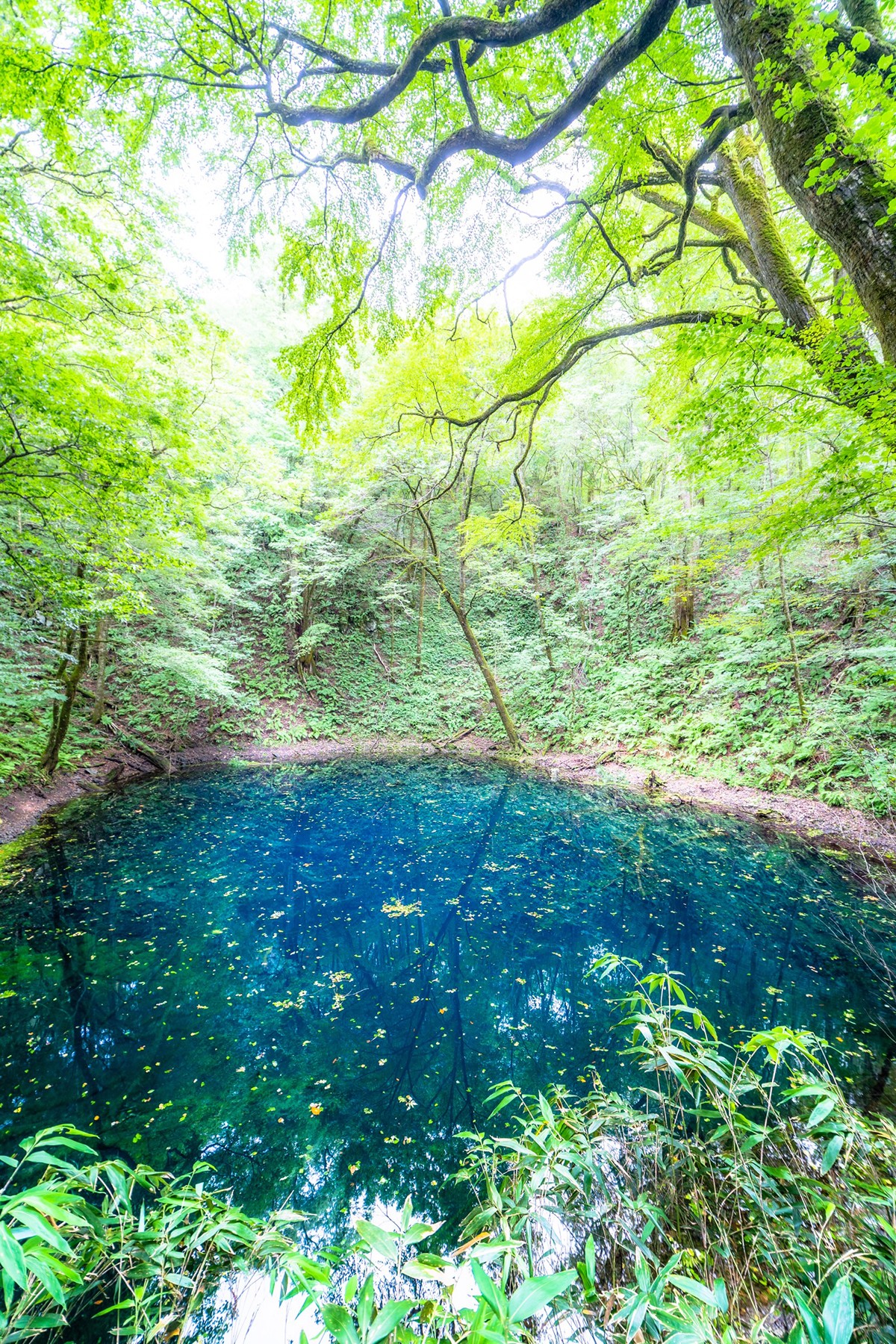 Juniko twelve lakes