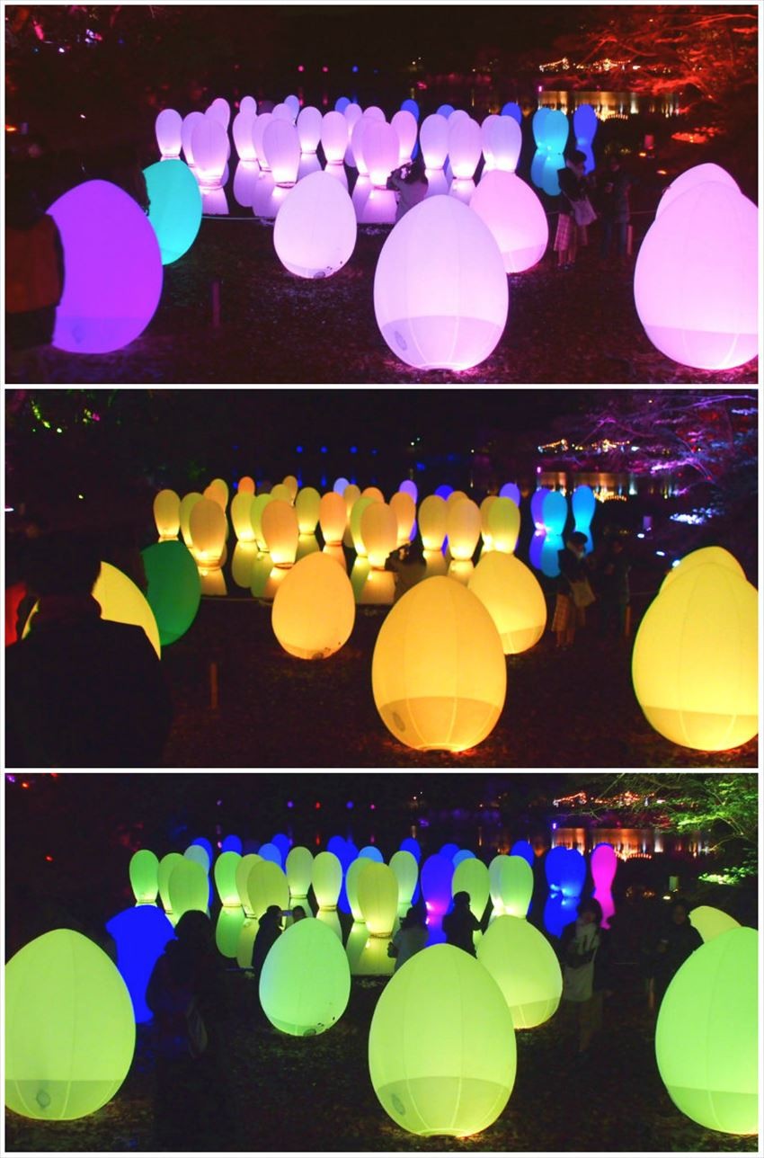 不同顏色的燈光，氣球與自然嘅夢幻組合