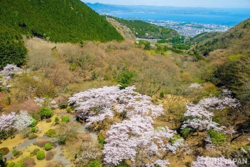 The Magnificent View of Mount Tsurumi in Oita, Japan