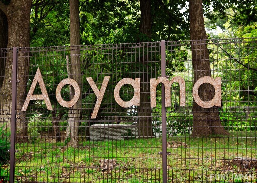 How to Enjoy a Elegant Day at Aoyama!