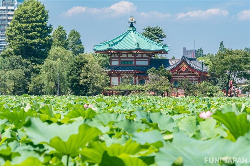 When is the Best Time to Visit Ueno Park? 