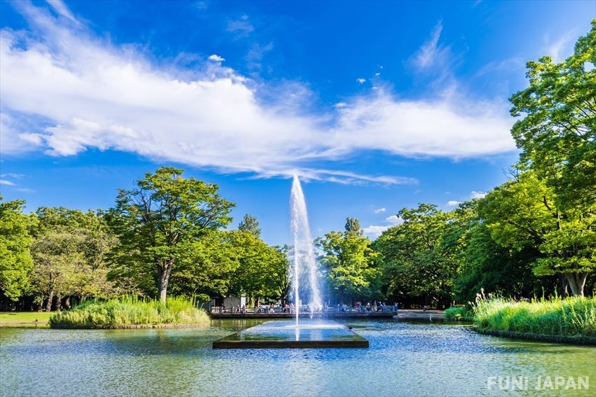 4 Awesome Things to Do in Yoyogi Park