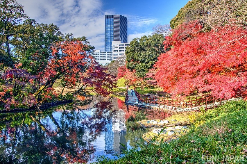 ช่วงเวลาที่ยอดเยี่ยมที่สุดในการเที่ยวชม สวนโคอิชิคาวะโคราคุเอ็น ในโตเกียว คือ?