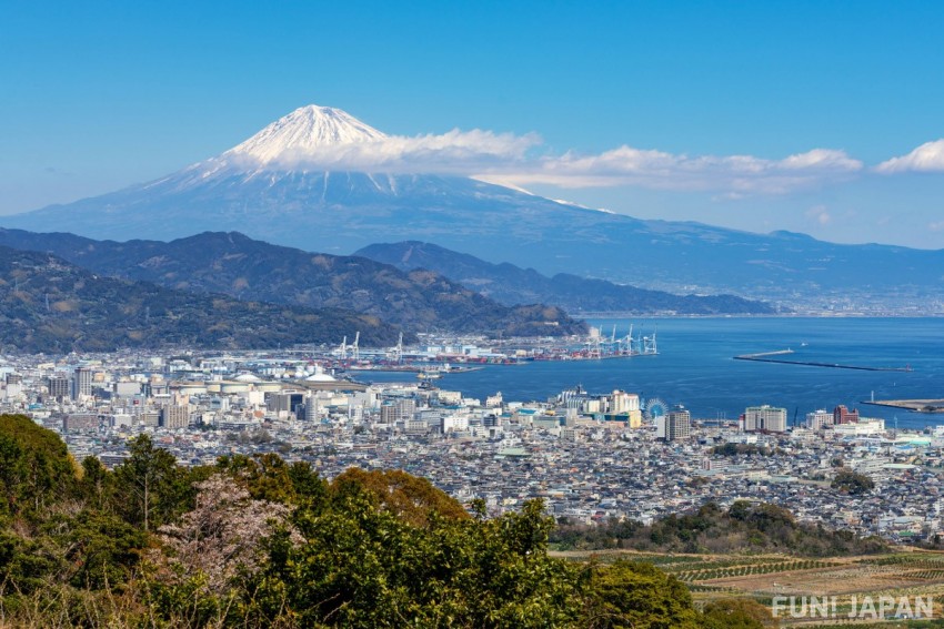 靜岡站周邊3間推薦酒店：遊歷史景點夠晒方便，仲有富士山靚景！