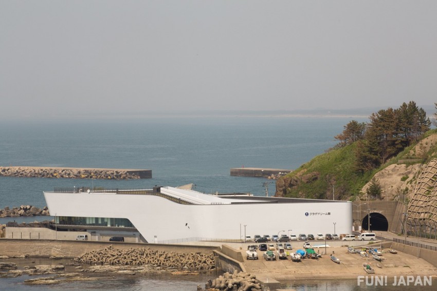 鶴岡市立加茂水族館 全世界最大嘅水母水族館