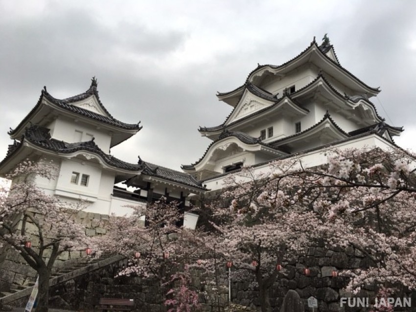 三重縣伊賀上野城 擁有日本第一高嘅石牆