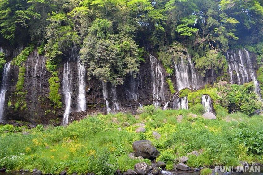 靜岡縣白絲瀑布係日本著名絕景瀑布之一？！ 