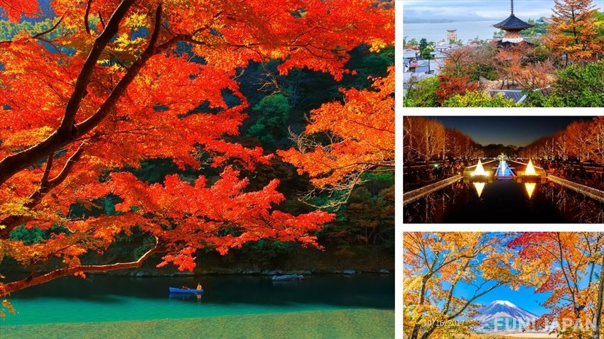 富士山 嵐山 宮島 高尾山 日本觀賞紅葉最佳地點