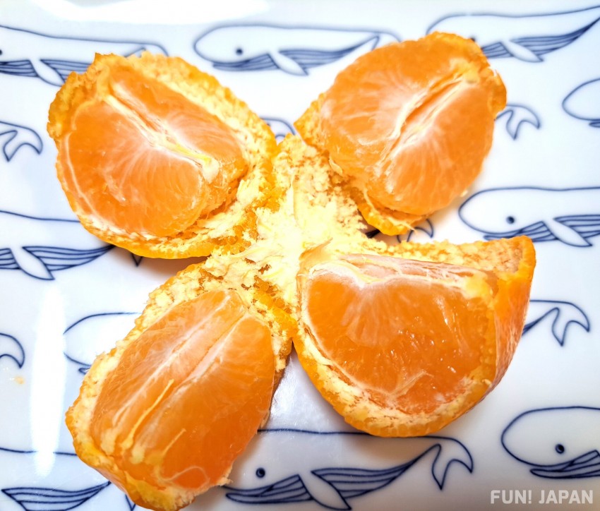 วิธีการปอกส้มของชาววาคายามะที่เรียกว่า การปอกแบบอาริดะ