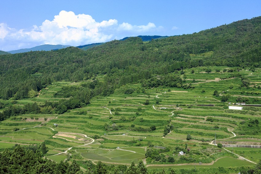 森林覆蓋率位居日本第一的「高知縣」