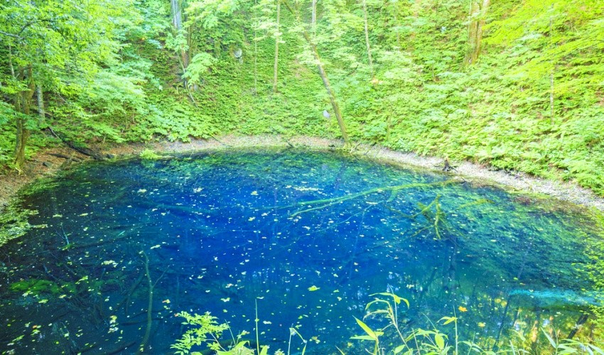 白神山地的青池漾著不可思議的藍