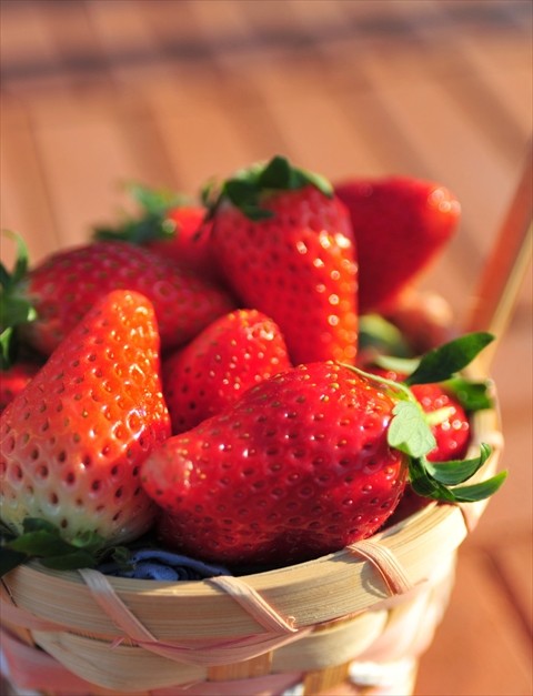 Narita Farmland: Sweet Potatoes and Strawberries
