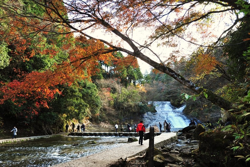 Chiba’s Hidden Oasis: The Yoro Ravine