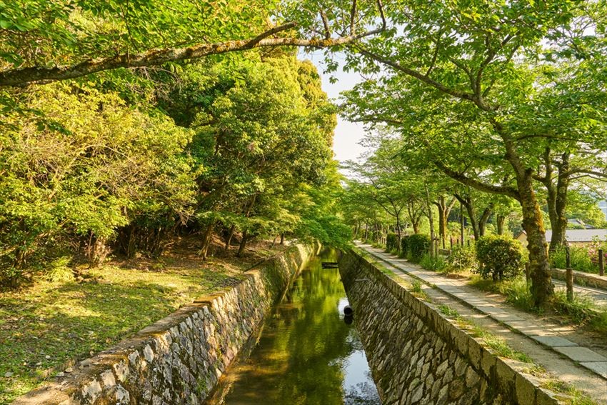 喺京都沿著哲學之道悠閒漫步