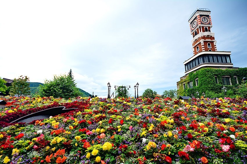 Shiroi Koibiti Park