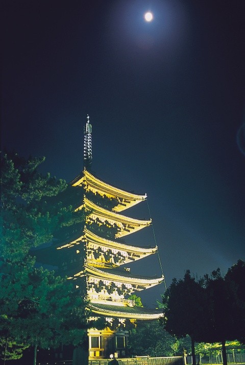 興福寺小檔案 - 奈良興福寺：擁有1300年歷史的世界遺產