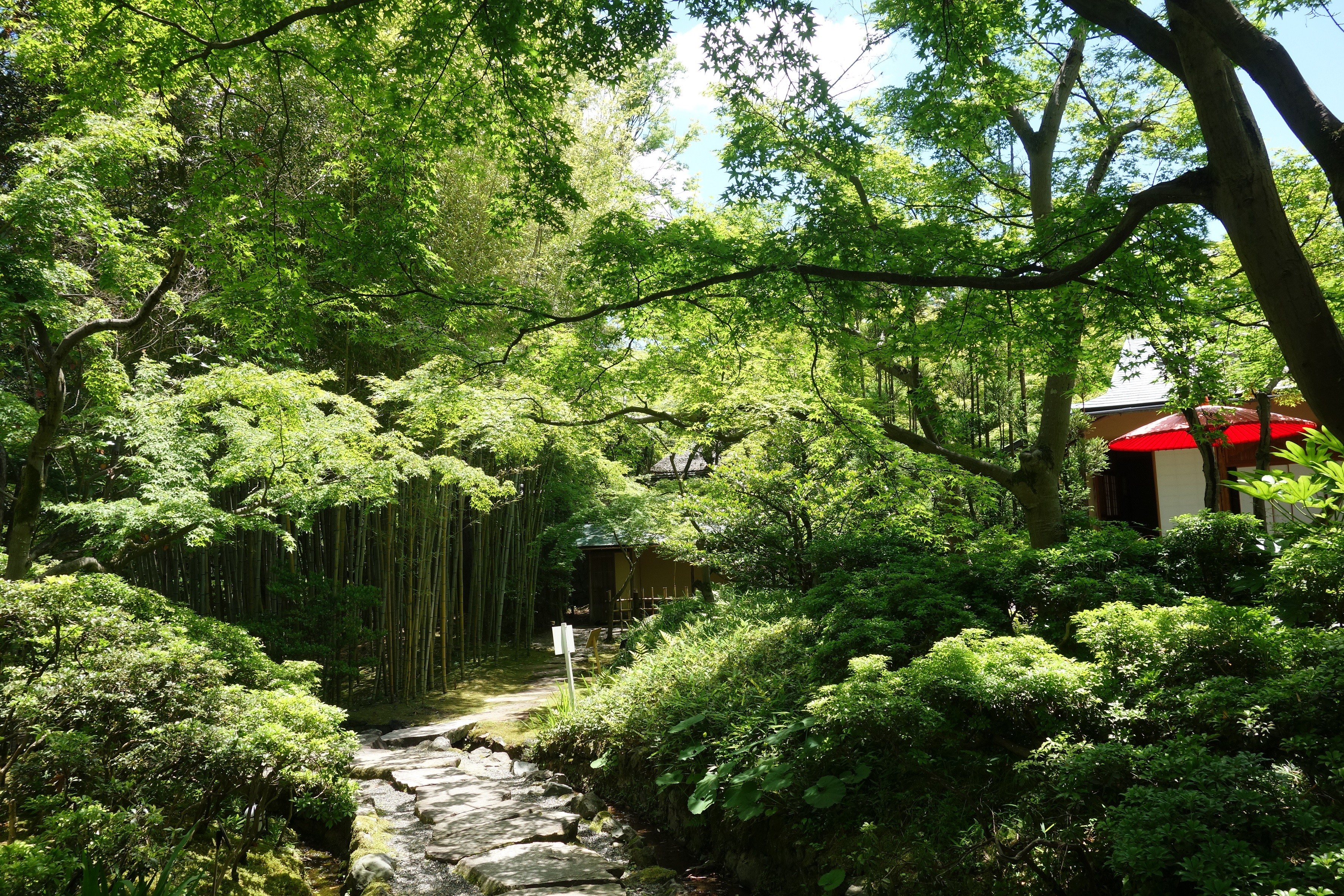 京都府八幡市立松花堂庭園及美術館的青紅葉