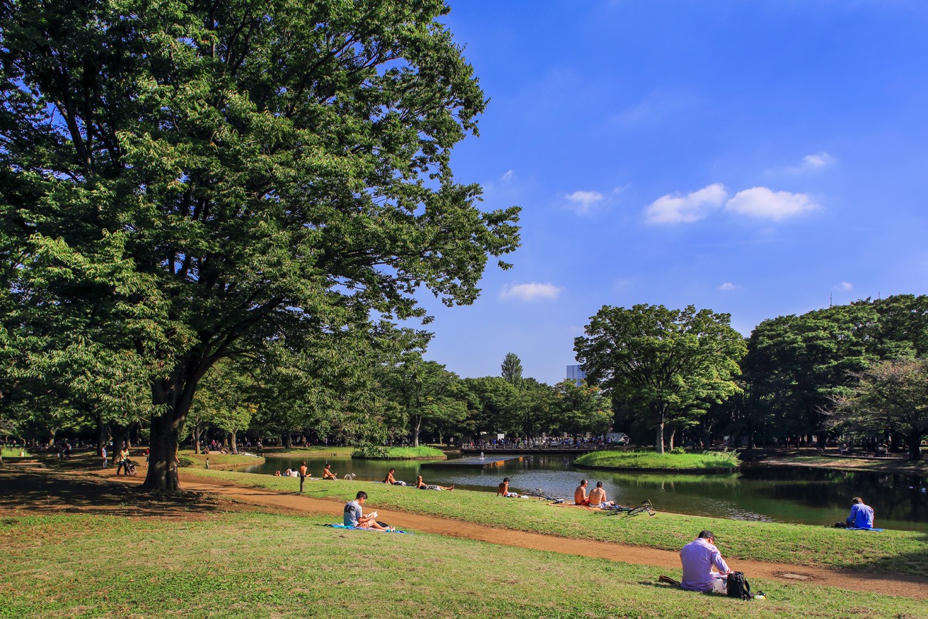 代代木公園東京