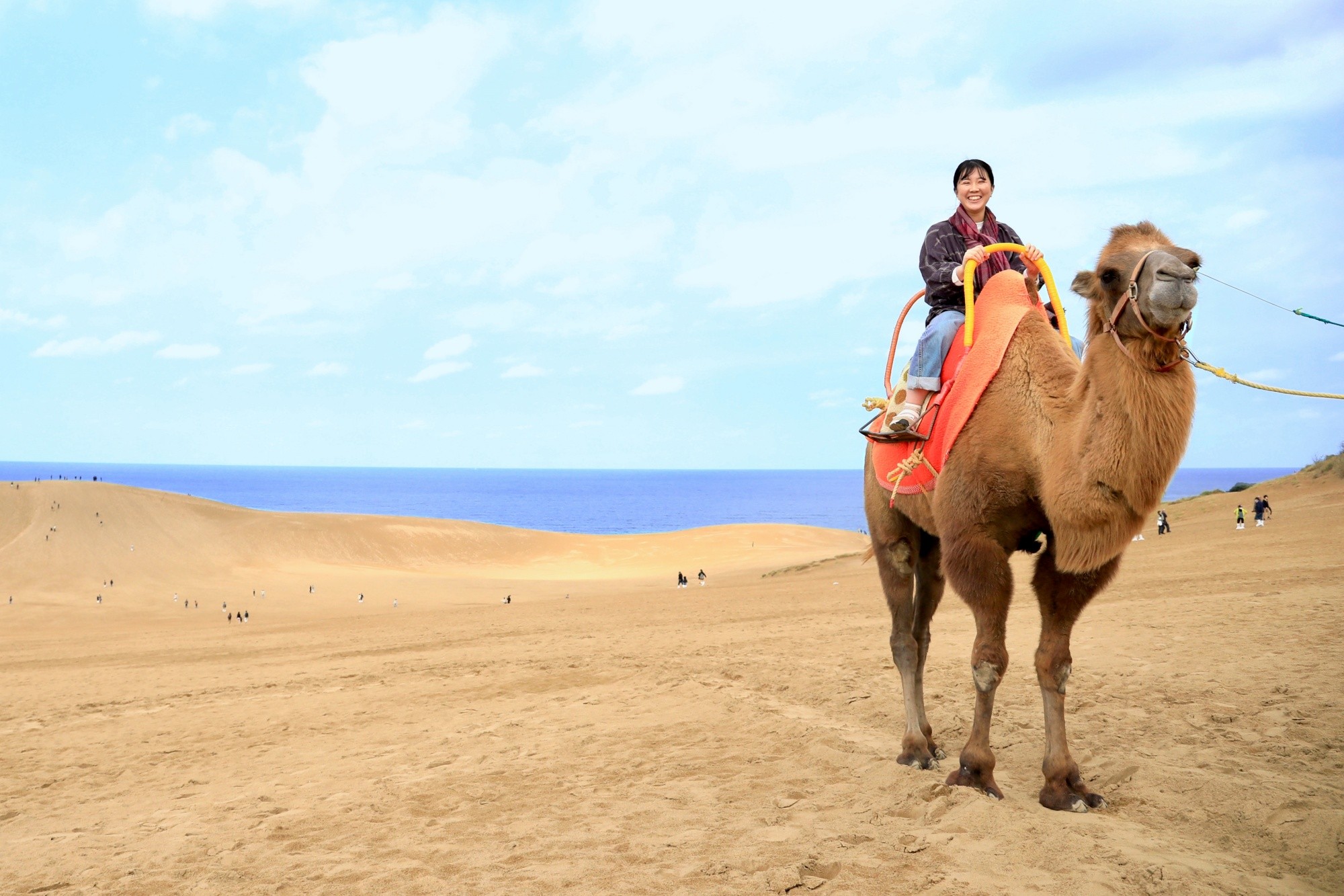 Camel ride experience