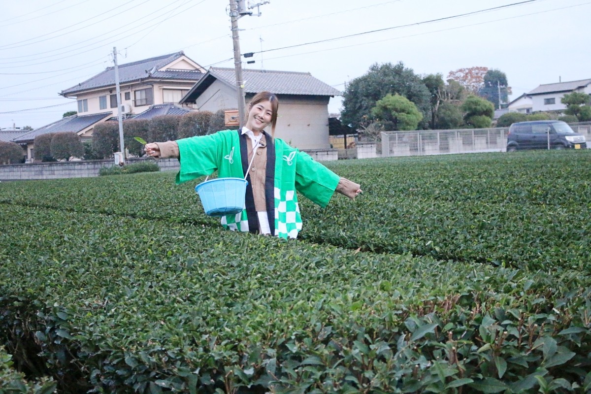 Sayama Tea School