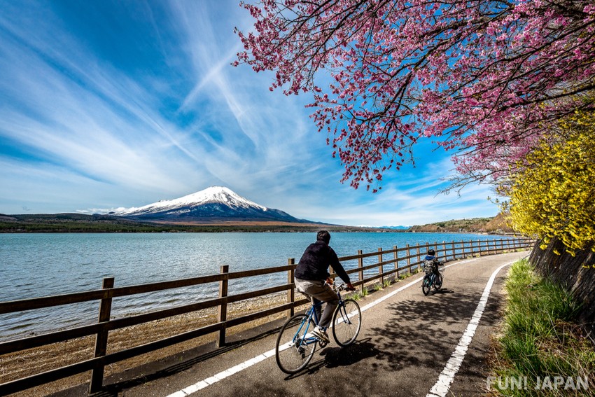 360度全方位姿意飽覽代表日本的「富士山」ー山中湖湖畔（山梨縣）