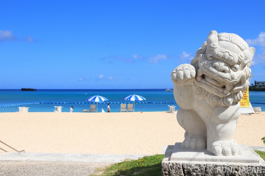What is the Okinawa Shisa?
