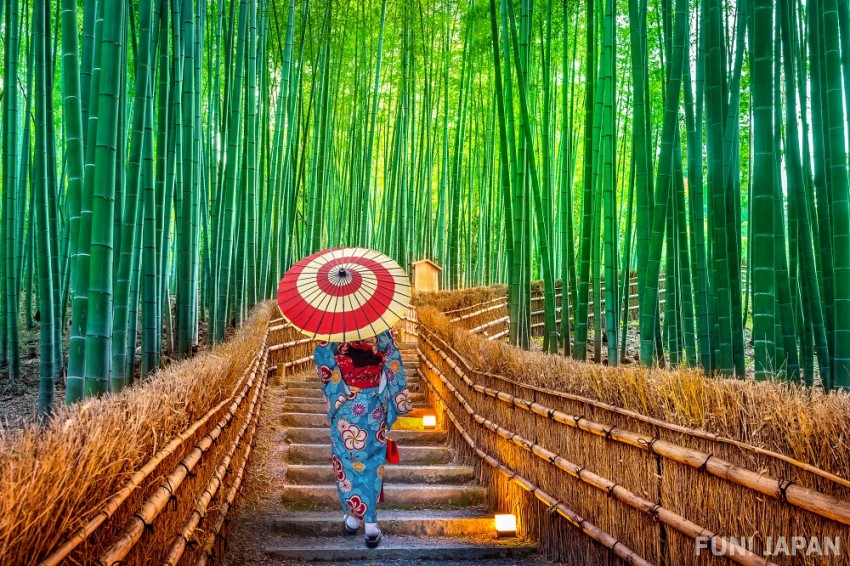 Du lịch Nhật Bản: 15 tuyệt cảnh thiên nhiên nên đến khi du lịch Nhật Bản  vào mùa hè!