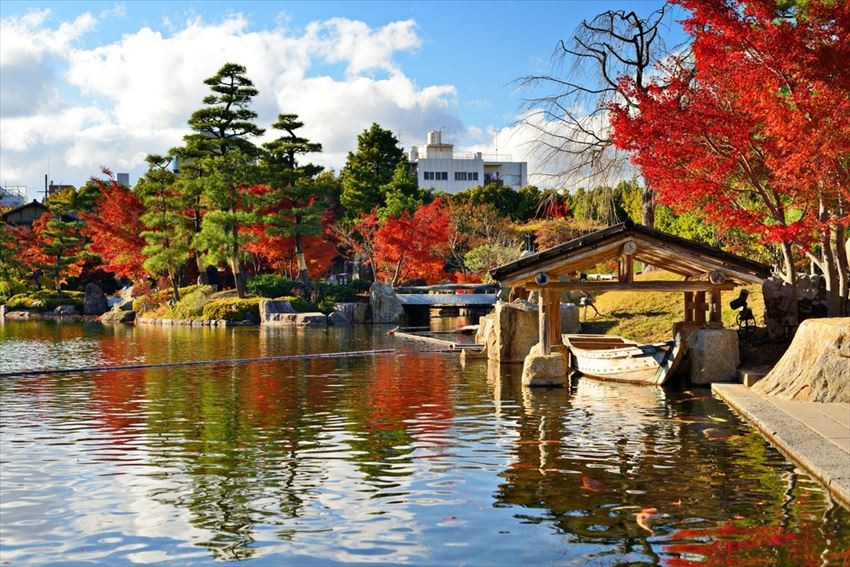 The Jaw-Dropping Beauty of Nagoya in Autumn