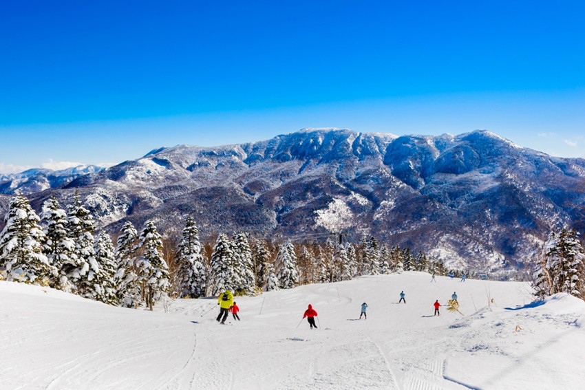 山之内町滑雪度假村：志賀高原   