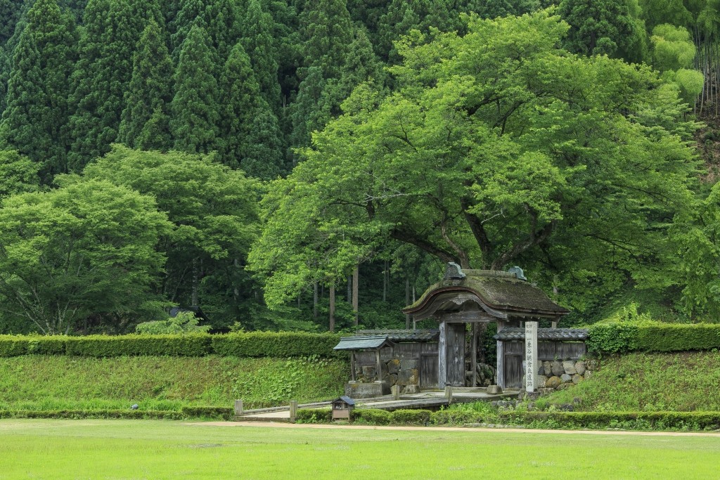 【Japan's Famous Castle Series】 Ichijodani Castle, a Yamajiro in Fukui, once called Little Kyoto of Hokuriku