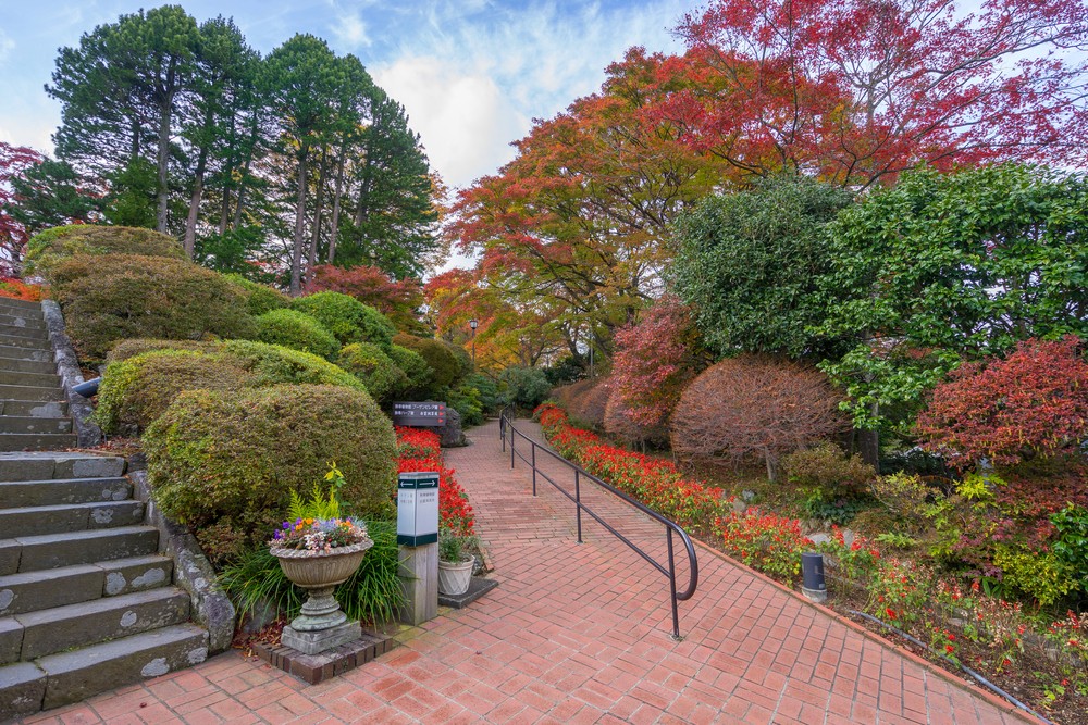 Những điểm thu hút của công viên Hakone Gora