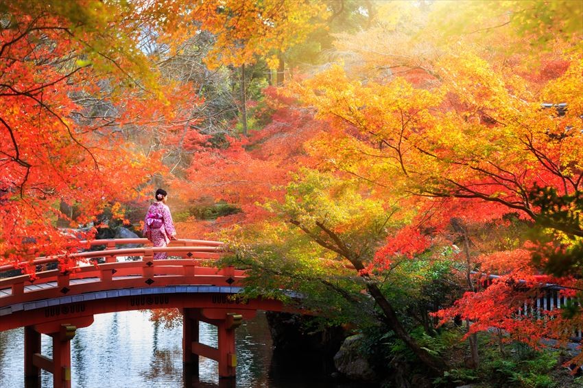 Mùa thu ở Kyoto: Nên đi đâu và làm gì?