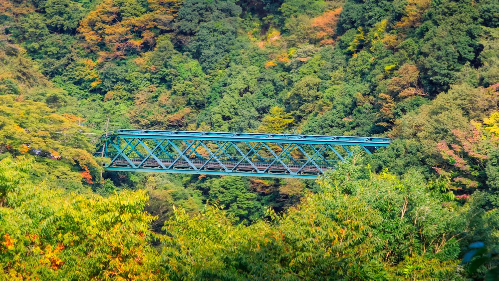 Đi đâu để ngắm lá đỏ mùa thu tuyệt đẹp tại Hakone?