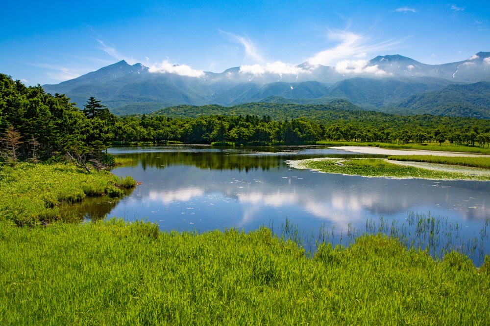 北海道知床的天然美景