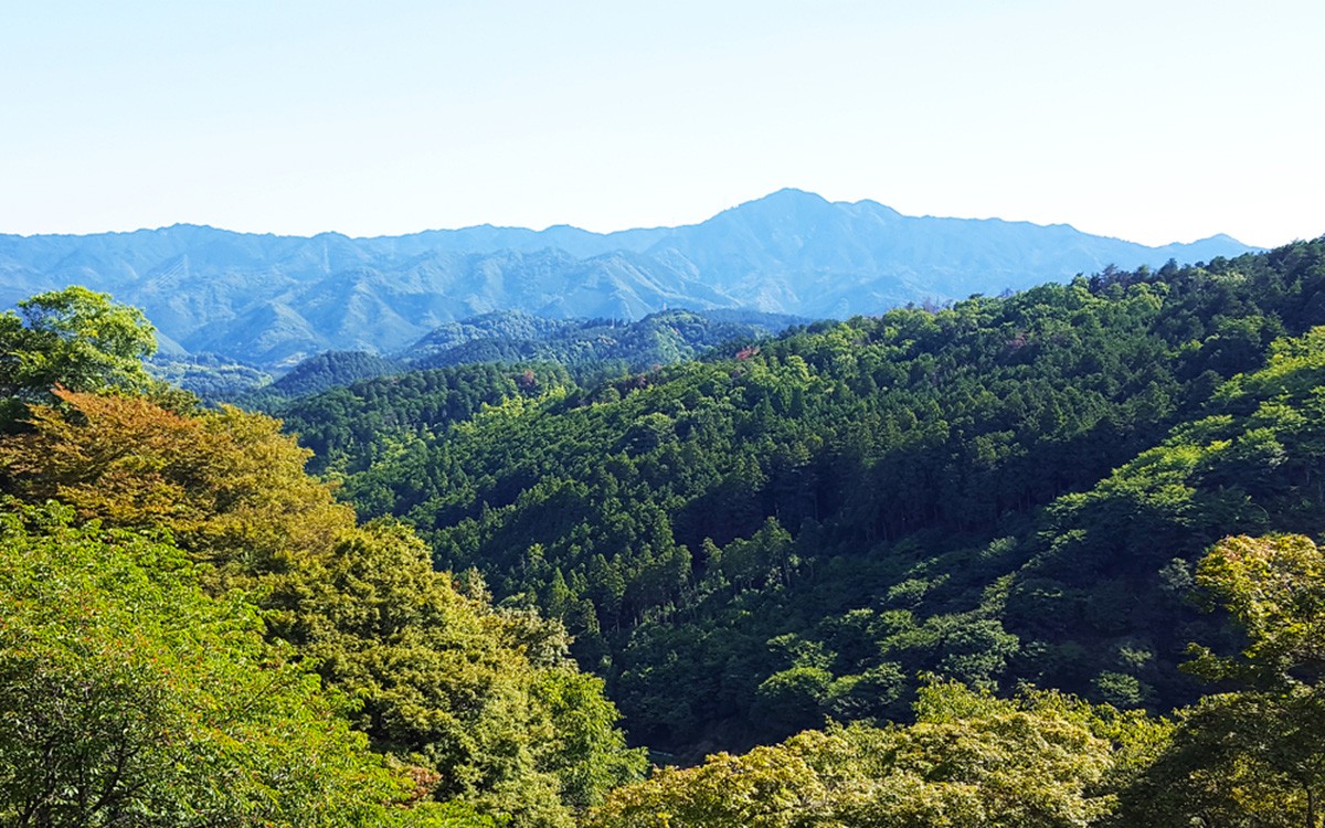 Yoshino: Nature-Rich Tourist Area of Nara with 