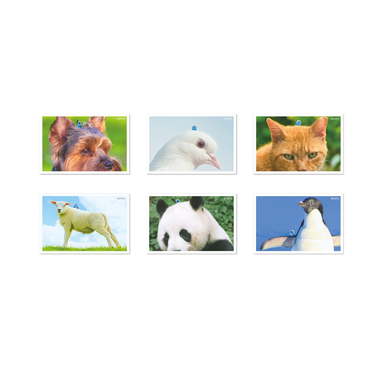 ชุดสติ๊กเกอร์หุ่นมือ SunSun