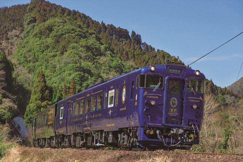 列車由1號車「翡翠」、2號車「山翡翠」兩節車廂組成。藍色車體的是「翡翠」、綠色車體的則是「山翡翠」