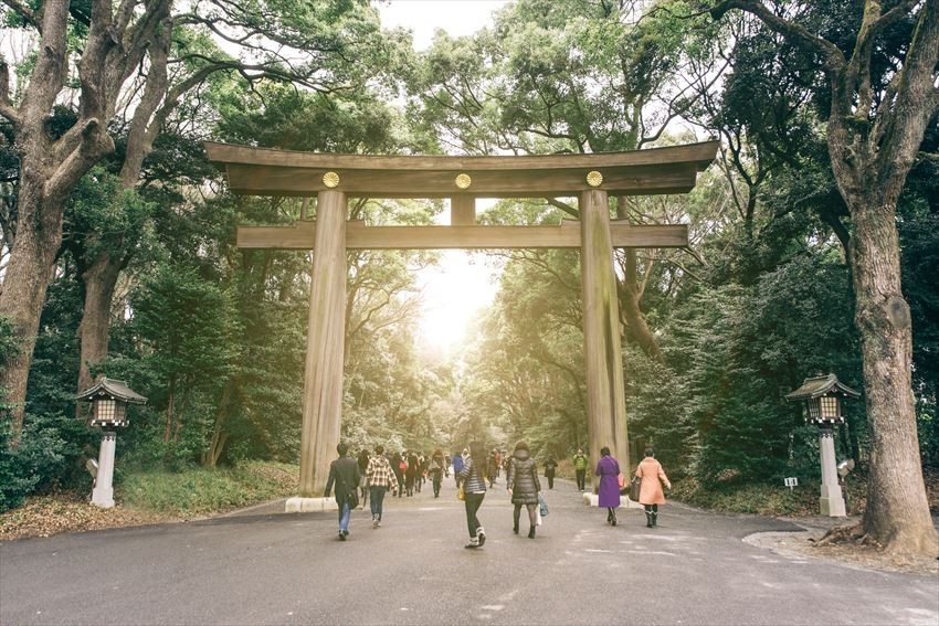 Visiting the Yoyogi Park and the Adjacent Meiji Shrine