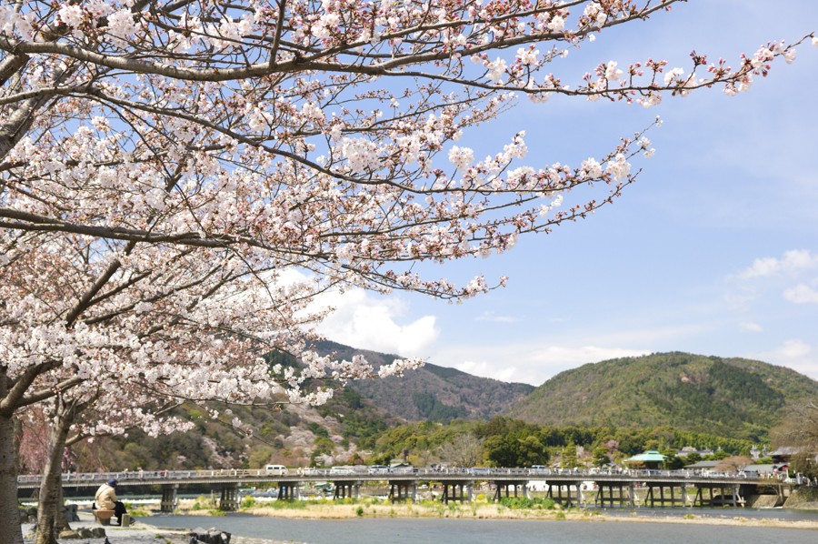 渡月橋