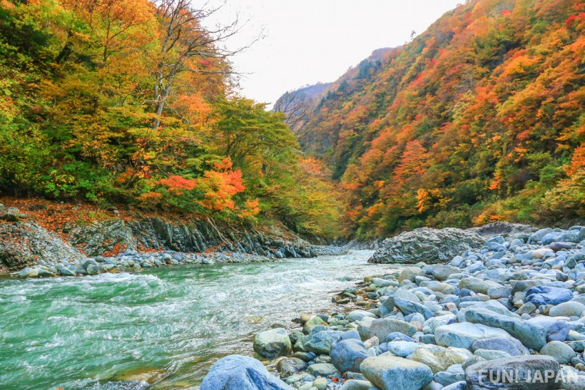 Pemandangan musim gugur di sungai Kiyotsugawa – Niigata