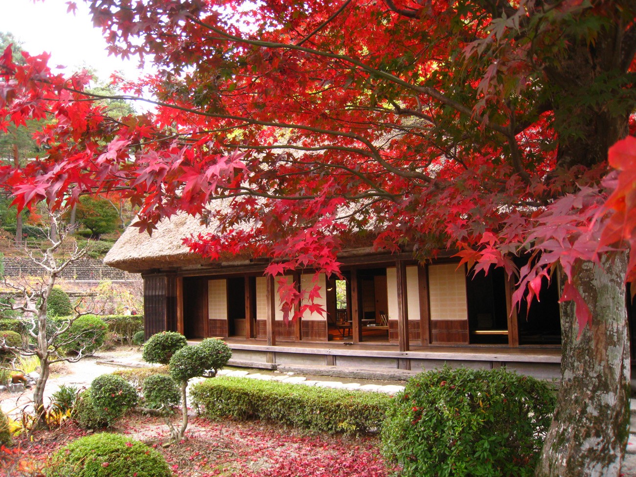 Gifu Prefecture Gero Onsen 