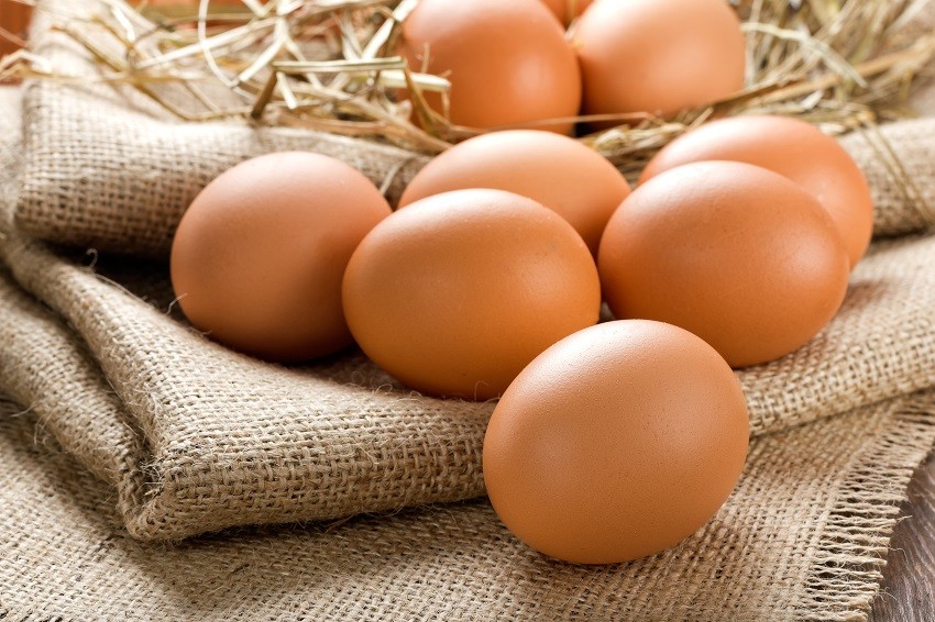 Kiểm soát chất lượng nghiêm ngặt các giai đoạn làm sạch, kiểm tra và chọn lọc trứng