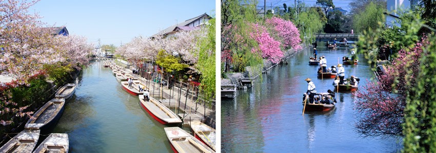 Yanagawa, a Must for Japan Lovers