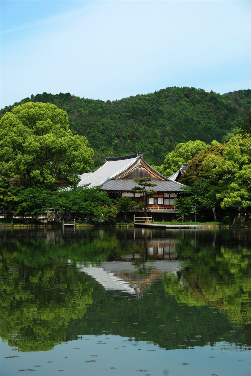 京都大覺寺之美麗景觀