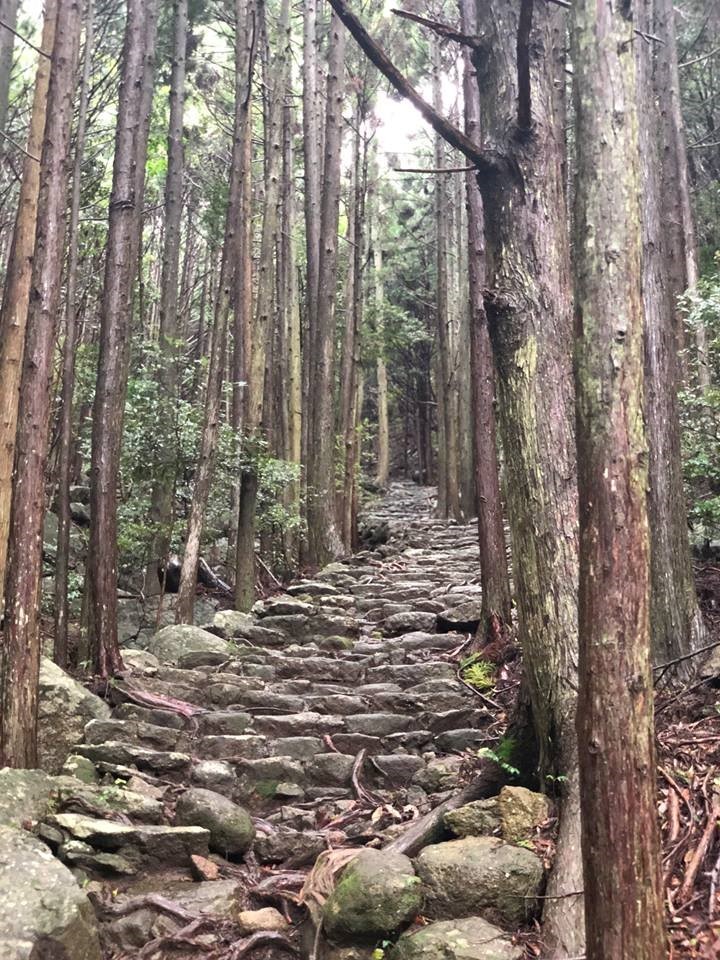 熊野古道—松本峠