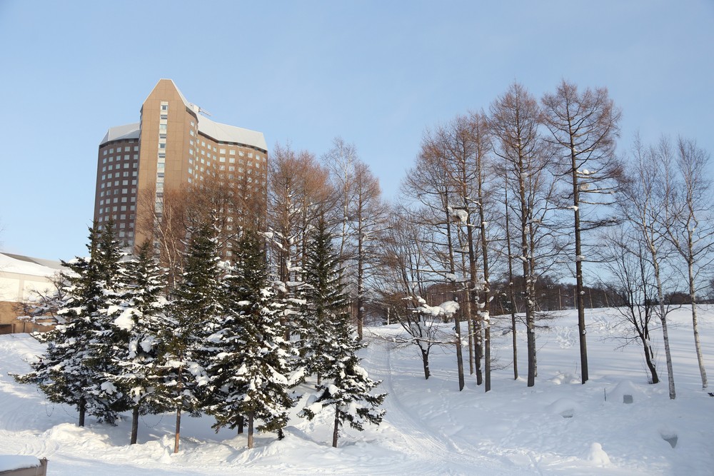 可以喺北海道‧留壽都享受最正雪上活動嘅4間酒店